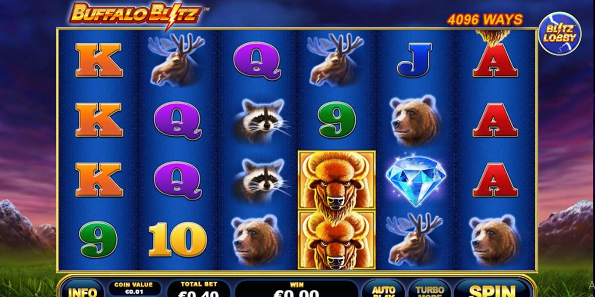 Buffalo Blitz màn hình cơ bản