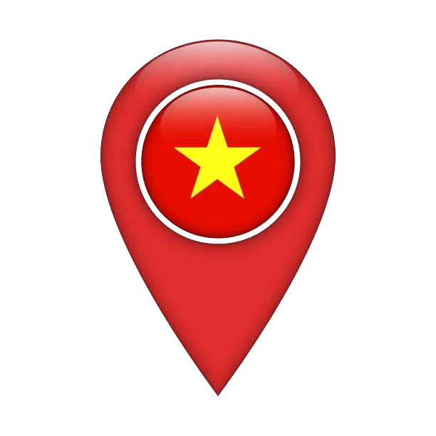 Vietnam-Pin